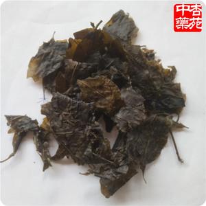 大叶苦丁茶 500g散装包邮新鲜养生花茶毛冬青茶苦甘叶