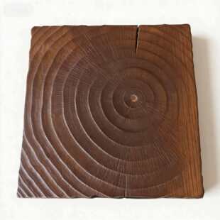 侘寂风摆件碳化木年轮木块装 家居好物服装 店装 饰墙饰 饰画民宿软装