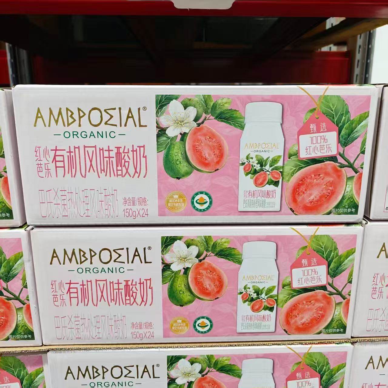 MM代购红心芭乐有机风味酸奶150g*24瓶早餐代餐面包搭档即饮品