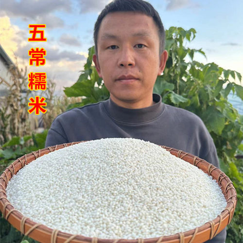 5件包邮21江米新货黏端午节粘米