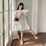 法式超好看宽松刺绣连衣裙2025春夏新款小个子慵懒风度假鱼尾裙子，女装连衣裙，西子