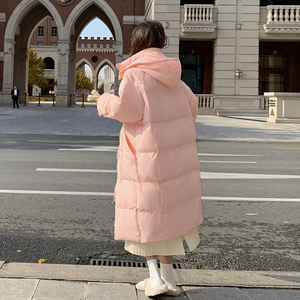 【现货】新标90绒羽绒服2C059-9019 短P255K368 长P335K458图片