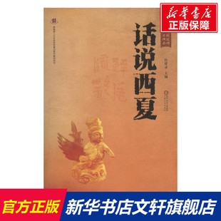 话说西夏 杜建录 主编 历史书籍 畅销书 中国通史历史类书读本 中国近代史古代史 宁夏人民出版社 新华书店官网正版
