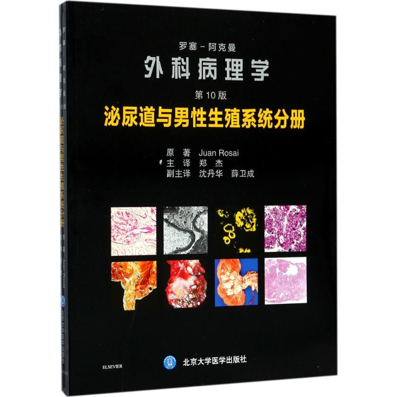 新华书店正版 内科 文轩网