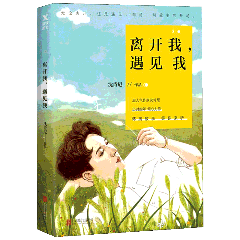 正版离开我遇见我沈肯尼