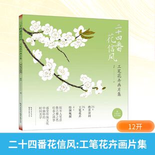 工笔花卉画片集 顾静 湖北美术出版 新华文轩 社 新华书店旗舰店文轩官网 二十四番花信风 书籍 正版