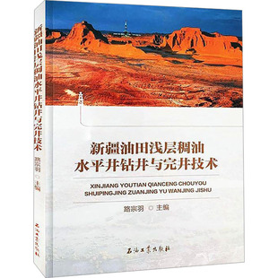 新疆油田浅层稠油水平井钻井与完井技术 正版书籍 新华书店旗舰店文轩官网 石油工业出版社