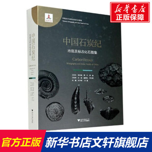 等 正版 浙江大学出版 书籍 中国石炭纪地层及标志化石图集 新华文轩 王向东 新华书店旗舰店文轩官网 社