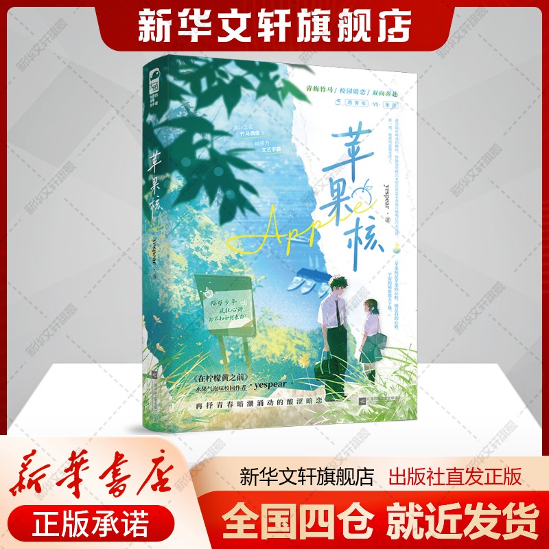 新华书店正版 青春小说 文轩网