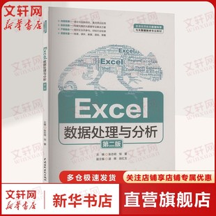 Excel数据处理与分析 第二版 Excel数据录入数据处理分析保护 本科和专科相关课程的教材使用Excel培训班参考正版书籍