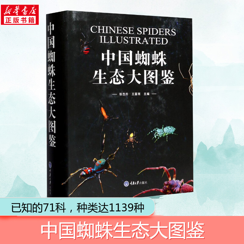 中国蜘蛛生态大图鉴 张志升,王露雨 主编 正版书籍 新华书店旗舰店文轩官网 重庆大学出版社