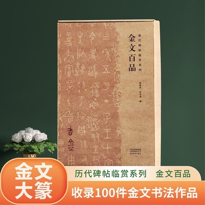 金文百品 金文书法史图鉴 经典碑帖书法临摹 正版书籍 新华书店旗舰店文轩官网 河南美术出版社