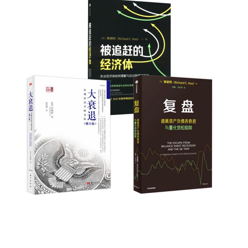 大衰退 +被追赶的经济体+复盘 三本套 (美)辜朝明 东方出版社等 正版书籍 新华书店旗舰店文轩官网