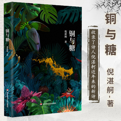 铜与糖 倪湛舸诗歌集“皮埃尔和艾琳娜”系列 正版书籍畅销书 新华书店旗舰店文轩官网 华东师范大学出版社