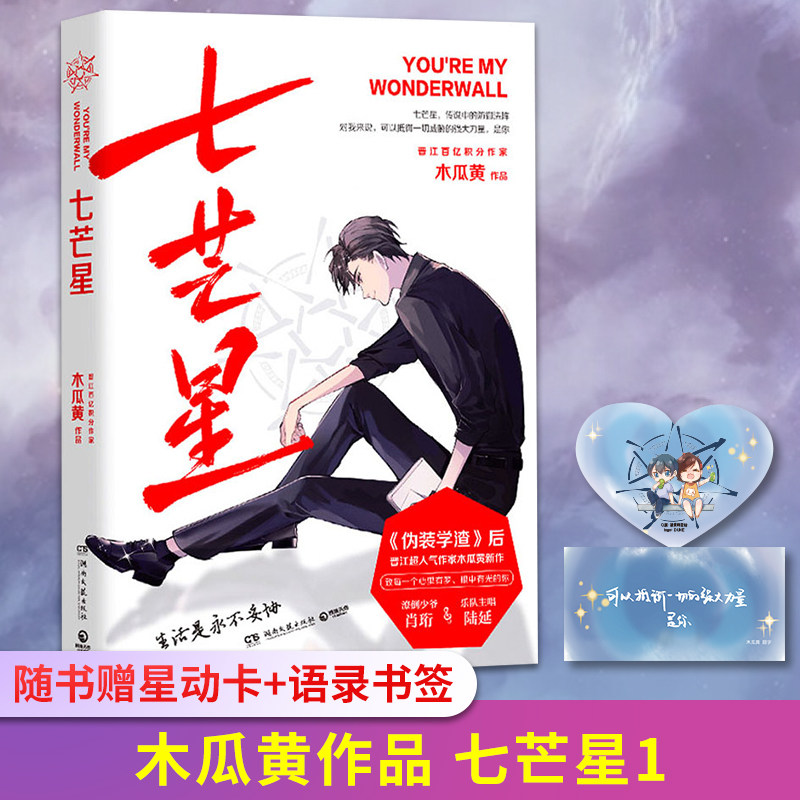 新华书店正版 青春小说 文轩网