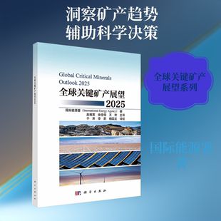全球关键矿产展望2025 国际能源署 著 科学出版社 正版书籍 新华书店旗舰店文轩官网