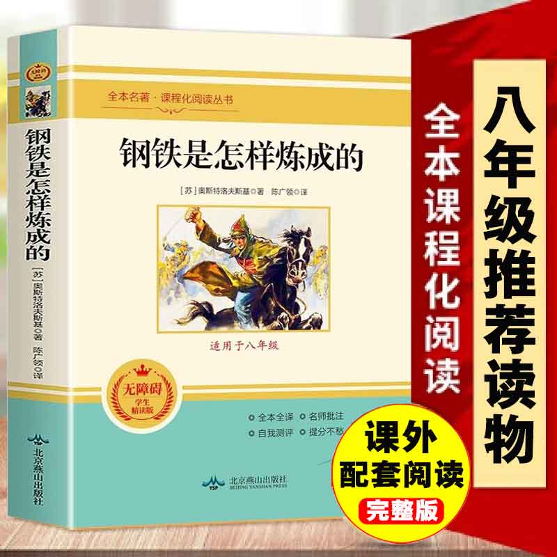 钢铁是怎样炼成的无障碍学生