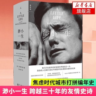 渺小一生 柳原汉雅著 跨越三十年的友情史诗 焦虑时代城市打拼编年史 入围布克奖美国国家图书奖国际都柏林文学奖 理想国 外国小说