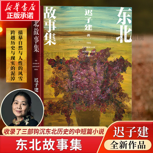 【新华正版】东北故事集 迟子建作品集散文集文学畅销书籍排行榜 额尔古纳河右岸 南方小土豆网络热点东北旅游日记 人民文学出版社