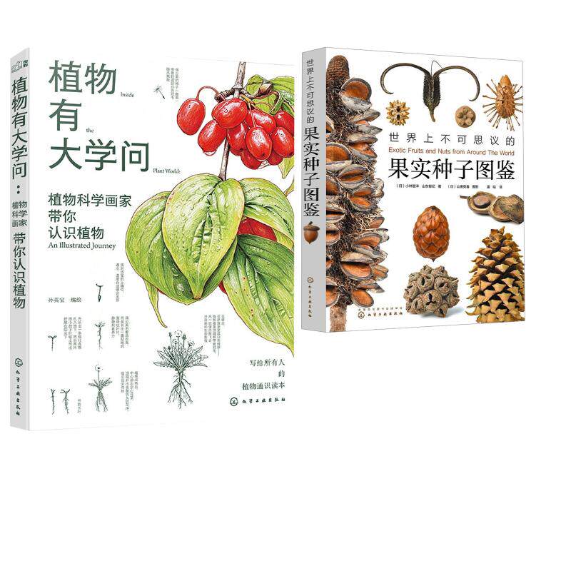 【2册】世界上不可思议的果实种子图鉴+ 植物有大学问 (日)小林智洋,(日)山东智纪 正版书籍 新华书店旗舰店文轩官网