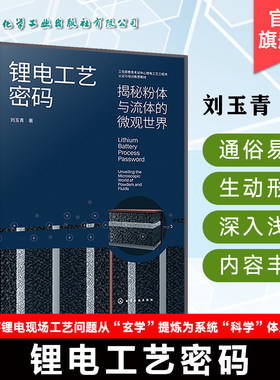 锂电工艺密码 揭秘粉体与流体的微观世界 锂电池制造技术电极制备技术解析电极材料与流体动力学研究新能源产业工艺参考书正版书籍