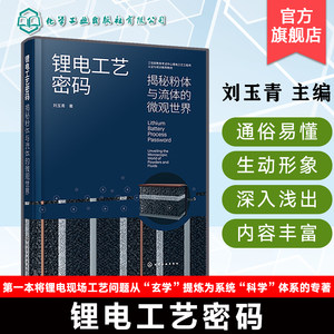 锂电工艺密码揭秘粉体与流体的微观世界锂电池制造技术电极制备技术解析电极材料与流体动力学研究新能源产业工艺参考书正版书籍