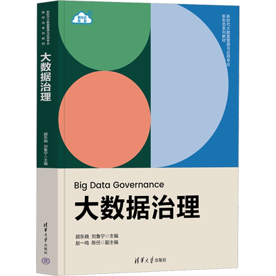 【官方正版】大数据治理清华大学出版社顾东晓,刘鲁宁 编大学教材9787302645986教材练习题集辅导新华书店旗舰店文轩官网