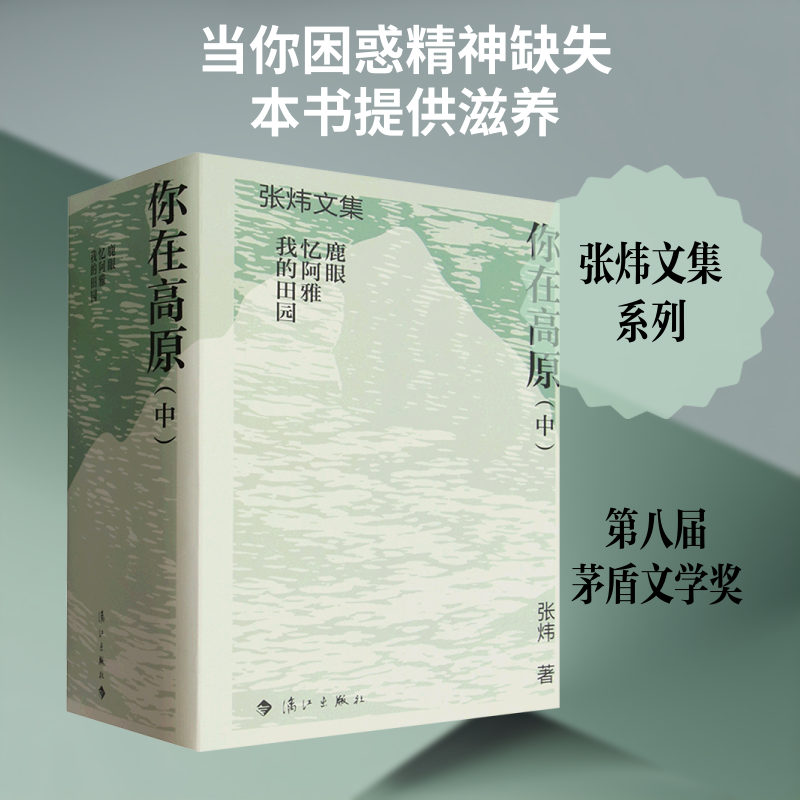 【新华文轩】你在高原(中) 张炜 著 正版书籍小说畅销书 新华书店旗舰店文轩官网 漓江出版社