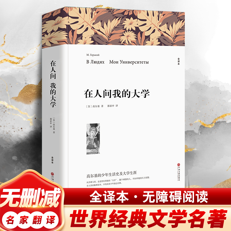 在人间我的大学高尔基