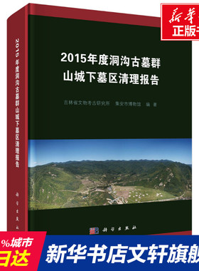 2015年度洞沟古墓群山城下墓区清理报告 科学出版社 正版书籍 新华书店旗舰店文轩官网
