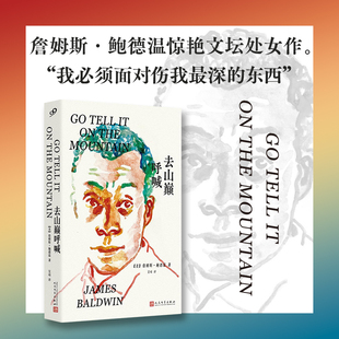 去山巅呼喊 下一次将是烈火 詹姆斯·鲍德温惊艳文坛处女作 用父子仇恨隐喻非裔美国人集体的挫败 外国小说书籍 新华书店正版