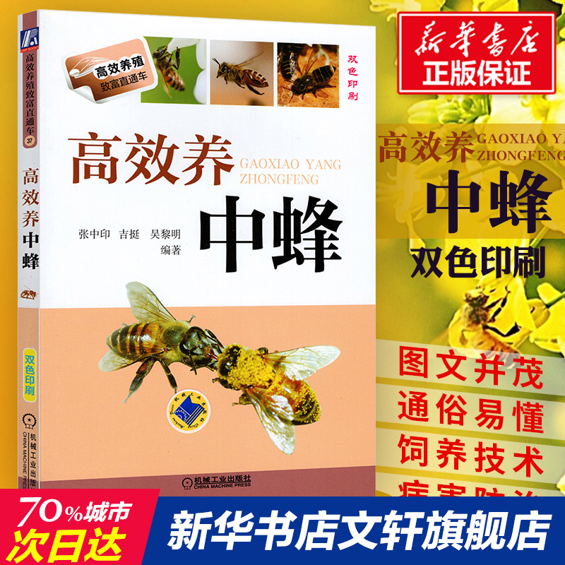 高效养中蜂蜜蜂养殖技术书籍养蜂书籍实用手册中华蜂土蜂中蜂饲养新技术书农业科学养殖技术养蜜蜂技术蜜蜂养殖大全书籍养蜂正版书