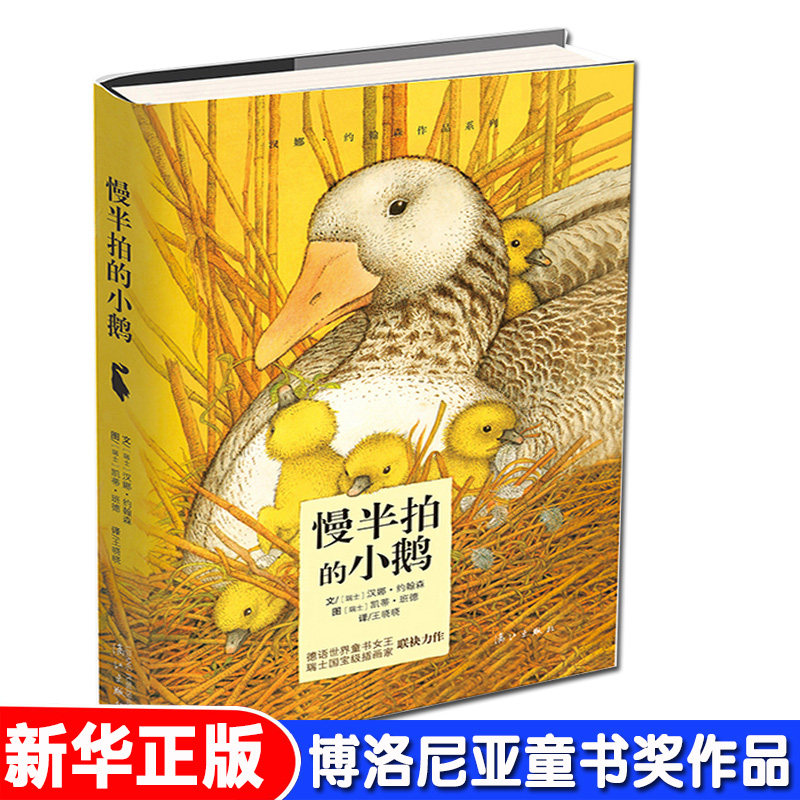 慢半拍的小鹅 无王晓晓译者 少儿儿童文学书 漓江出版社 儿童6-12周岁小学生课外阅读经典书目幼儿园小中大班绘本