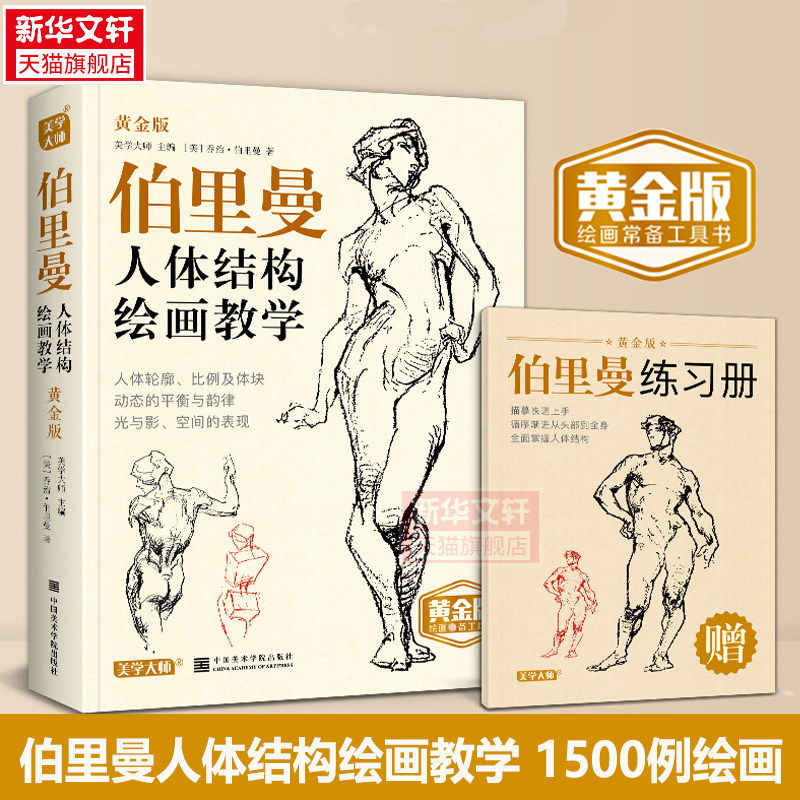 【送练习册】伯里曼人体结构绘画教学 黄金版 美学大师人物速写入门手绘基础速写临摹书速写入门结构构造解剖中国美术学院正版书籍