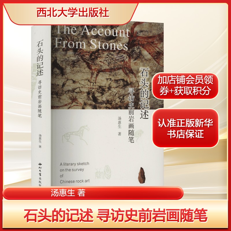石头的记述 寻访史前岩画随笔汤惠生 著文学古典文学理论西北大学出版社新华文轩旗舰店正版书籍