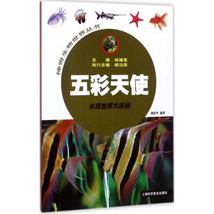 【新华文轩】神奇生物世界丛书•五彩天使:水族世界大揭秘 郝思军 编著;杨雄里 丛书主编 正版书籍 新华书店旗舰店文轩官网