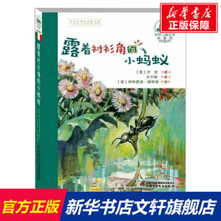 角 露着衬衫 小蚂蚁 世界儿童文学典藏馆 热爱并呵护大自然幼儿园小中大班绘本 尊重并善待每一个小生命 新华文轩