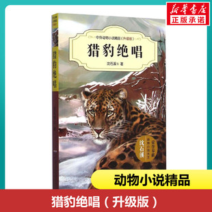 【新华书店】猎豹绝唱 中外动物小说精品升级版再被狐狸骗一次作者沈石溪10- 12-15岁中小学生课外阅读书籍读物经典儿童文学故事正