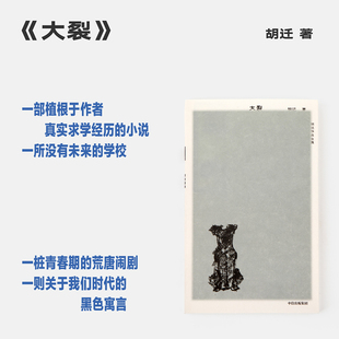 【新华文轩】大裂 胡迁 著 正版书籍小说畅销书 新华书店旗舰店文轩官网 中信出版社