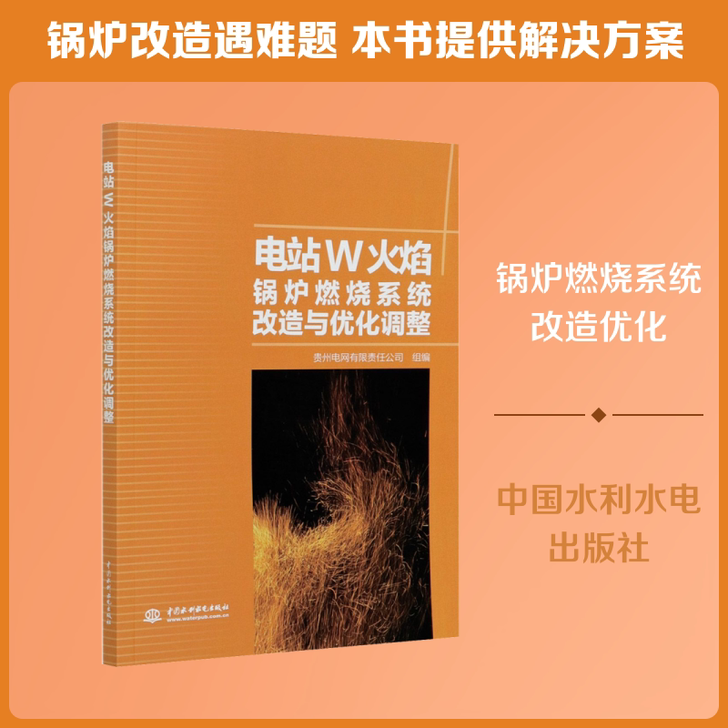 电站W火焰锅炉燃烧系统改造与优化调整 正版书籍 新华书店旗舰店文轩官网 中国水利水电出版社