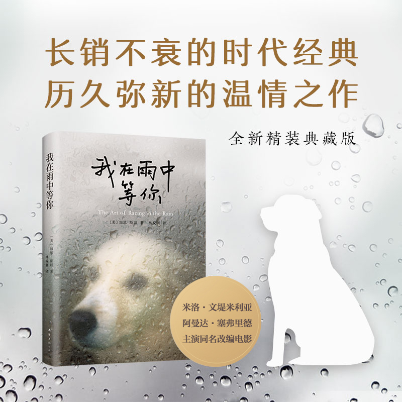 我在雨中等你加思斯坦著新华正版
