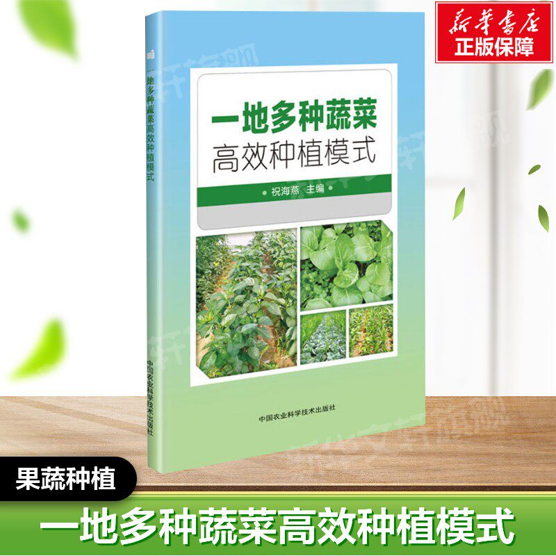 一地多种蔬菜高效种植模式 正版书籍  中国农业科学技术出版社 果蔬栽培种植业系列书蔬菜瓜果栽种参考工具书应用指南