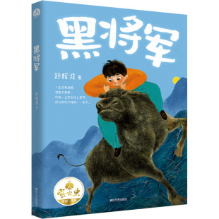 舒辉波 正版 书籍 春风文艺出版 黑将军 新华书店旗舰店文轩官网 社 新华文轩