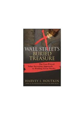 华尔街的宝藏：低价价值投资法寻找伟大的股票 WALL STREET'S BURIED TREASURE: THE LOW-PRICED VALUE INVESTING APPROACH TO FIN
