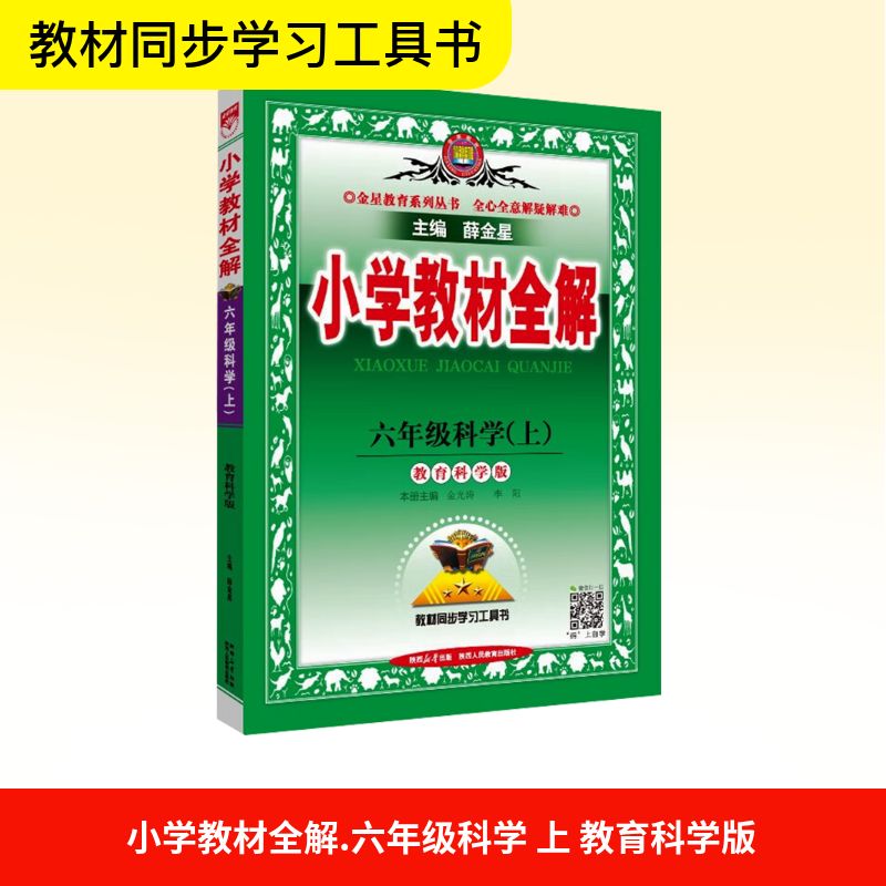 新华书店正版 小学语文同步讲解训练