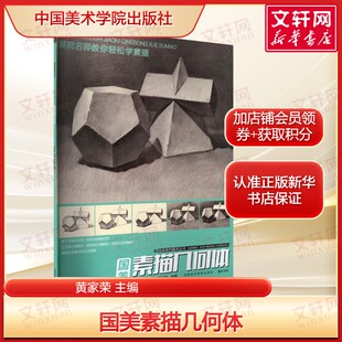 国美素描几何体 临摹画册入门教材程敲门砖周文超讲透结构石膏几何形体图形训练习零基础学画画中国美术学院出版社