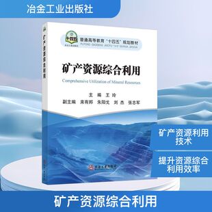 矿产资源综合利用 正版书籍 新华书店旗舰店文轩官网 冶金工业出版社