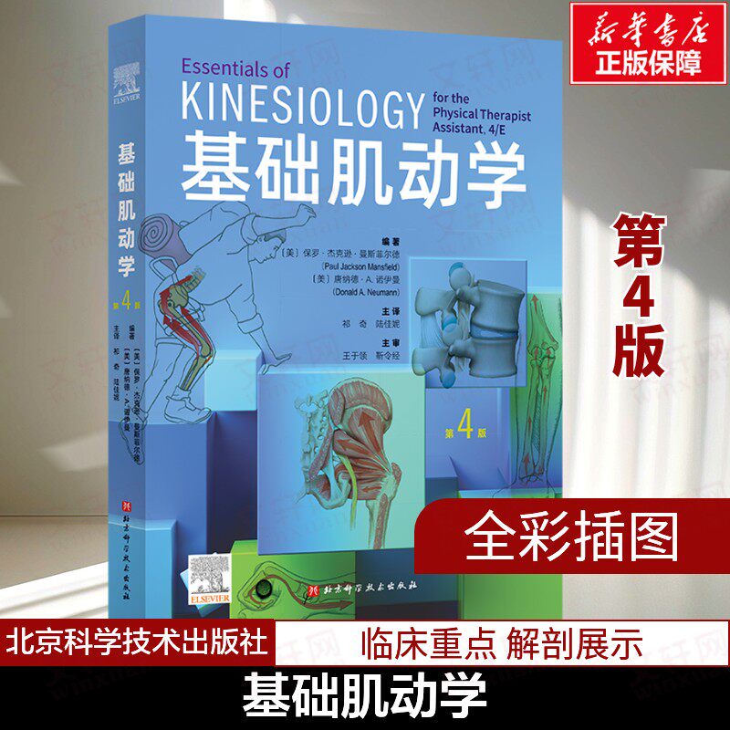 基础肌动学 第4四版 物理治疗师的肌肉骨骼功能解剖学基础 保罗杰克逊曼斯菲尔德 肌肉骨骼系统的结构和功能筋膜解剖列车书籍 正版