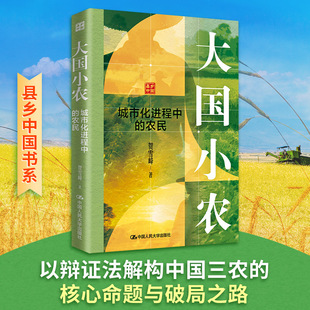 大国小农：城市化进程中的农民 贺雪峰著 解构中国三农的核心命题与破局之路 中国现代化进程的核心动力与关键挑战 正版书籍