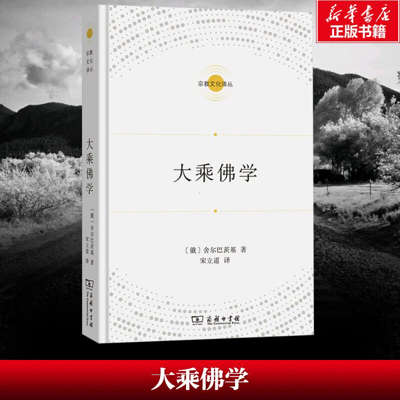 大乘佛学 印度哲学思想中的绝对本体观 佛教基本学说从小乘向大乘发展的哲学背景  正版书籍 新华书店旗舰店文轩官网